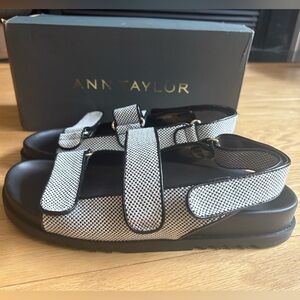 NWT / New in box! Ann Taylor black and white sandals
